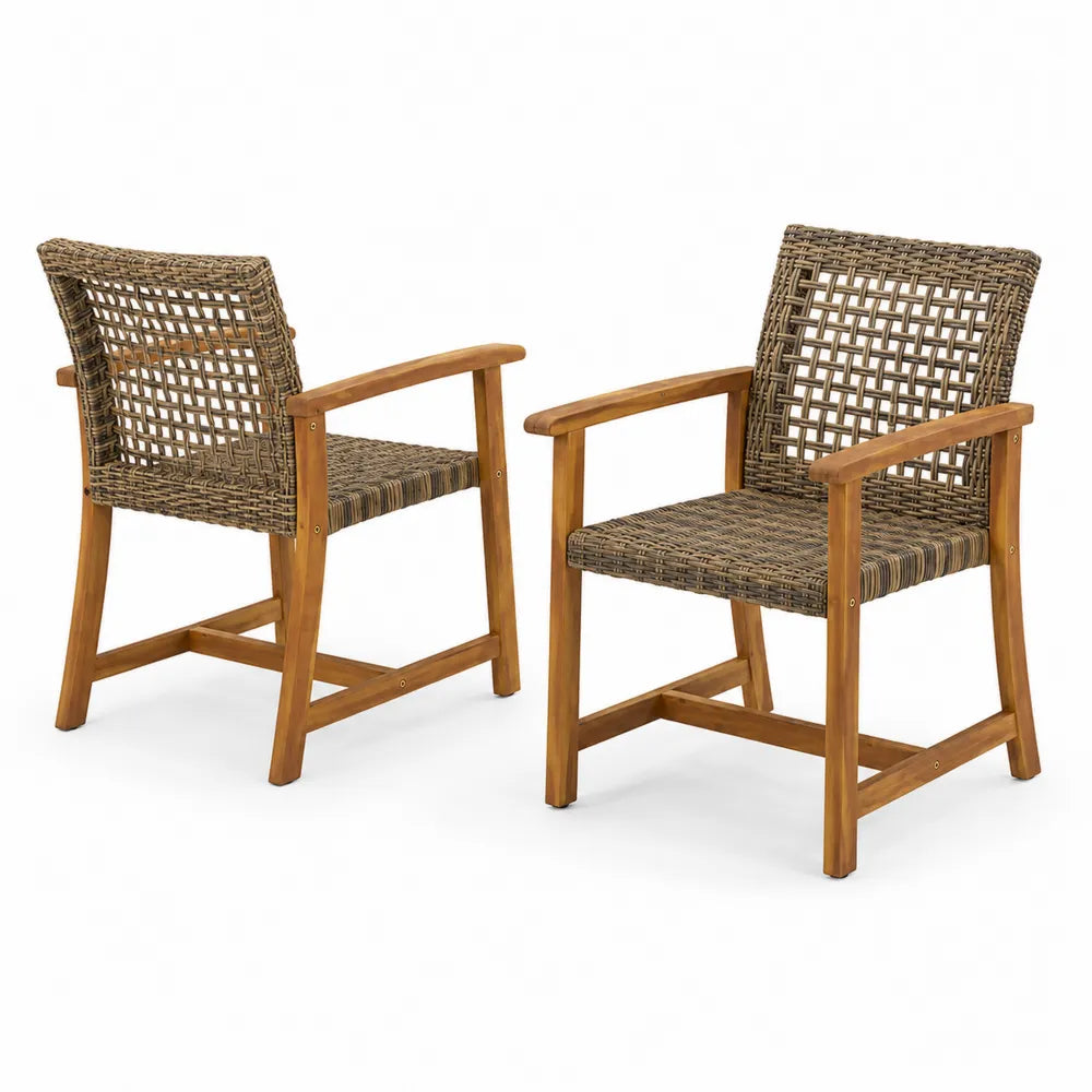 Set di 2 sedie in legno e rattan sintetico marrone